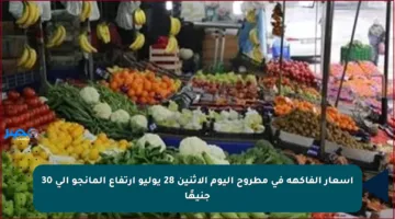 أسعار الفاكهة في مطروح اليوم الاثنين 28 يوليو ارتفاع المانجو إلى 30 جنيهًا